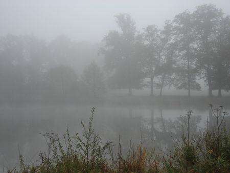 Brouillard sur étang