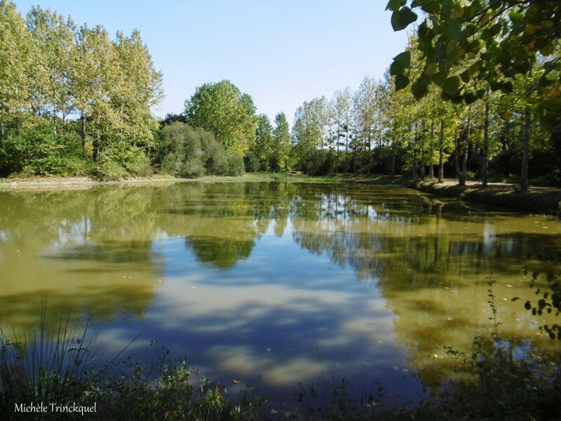 Etangs de la Marnière, de Vicq d'Auribat et St Jean de Lier 290918