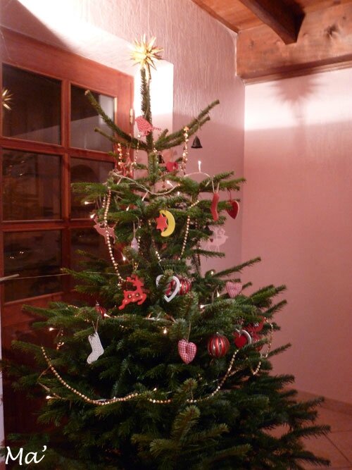 141130_sapin_noel