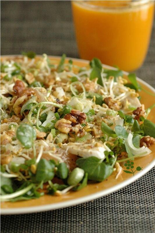 Salade cresson poulet