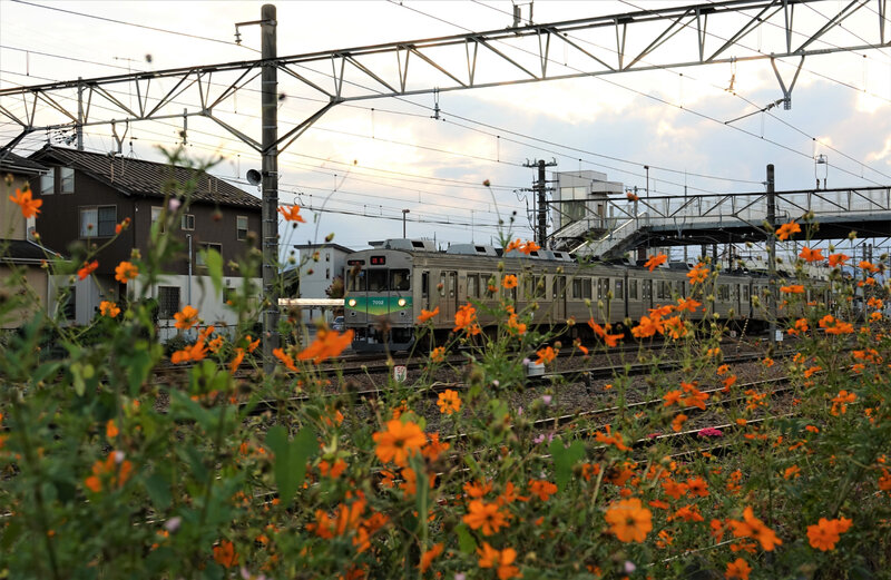 DSC07696