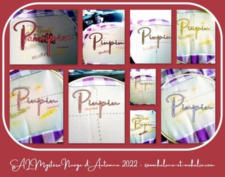 Piupiu QB_nuageautomne22_col3
