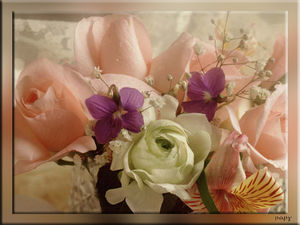 bouquet_fleurs_rose_blanche