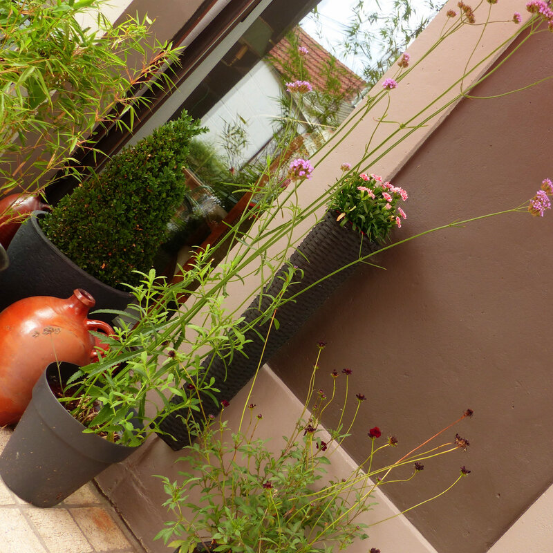 aa jardin aout 20182 (2)