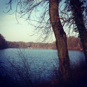 Etang_de_Commelle_2