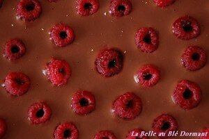 Tarte_choco_framboise_2