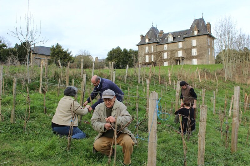 vigne Avranches ferme du Petit Changeons Quartier Nature mars 2013 fête des sens