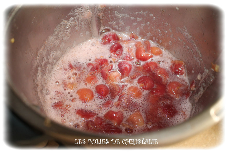 Compote Thermomix 1