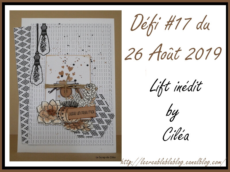 Défi #17