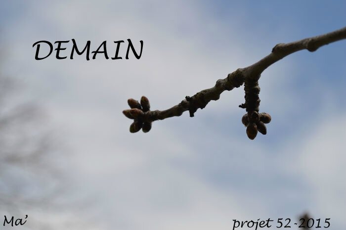 52-2015_S12_demain