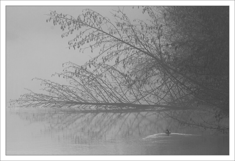 ville riviere poule eau brouillard matin 230114