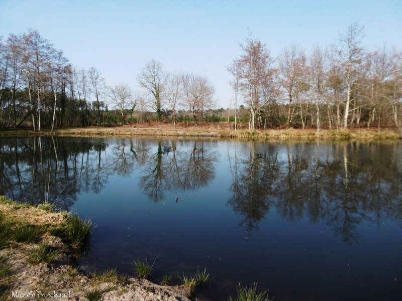 1-Etang de la Glacière 210219