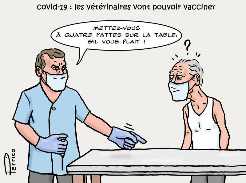 Covid-19 - vaccination par les vétérinaires - 27 mars 2021