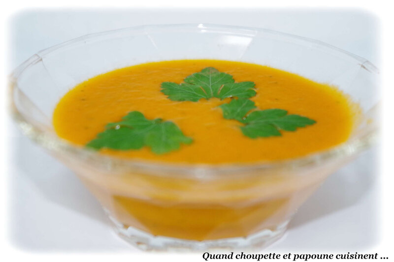 velouté de tomates au thermomix-5610