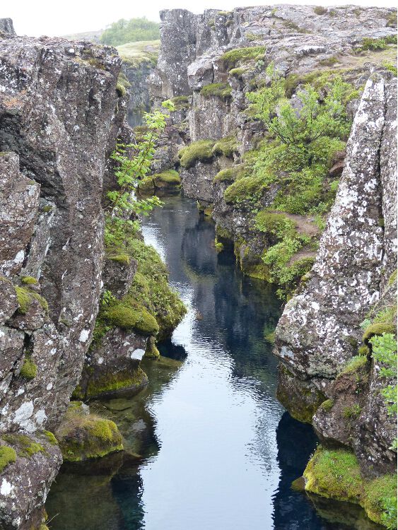 1P1010767
