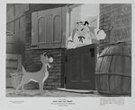 belle_clochard_photo_us_1955_02