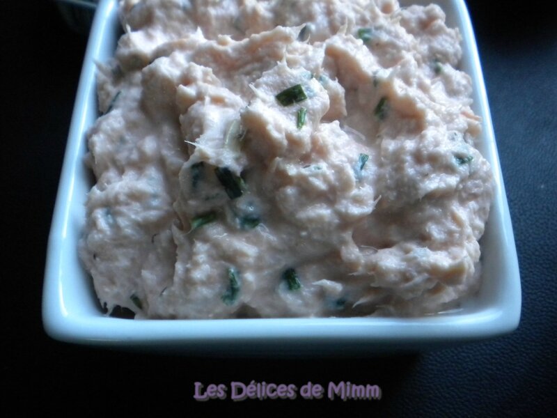 Des tartinades pour l’apéro 5