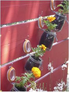 Des bocaux-pots de fleurs