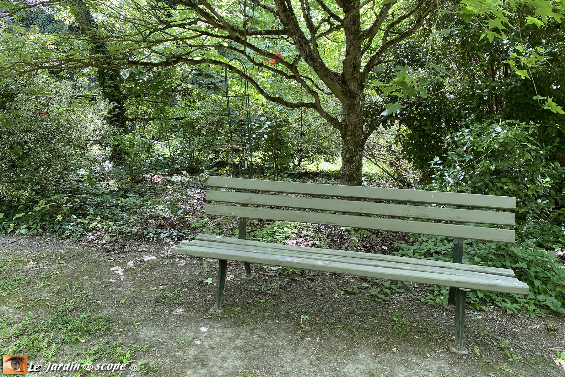 Banc vert en bois - Jardin de Berville