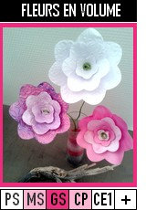 V138-FLEURS-Fleurs en volume