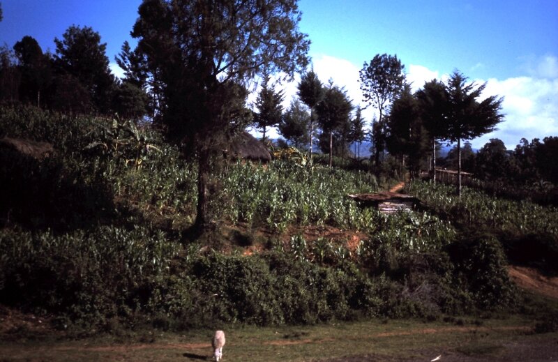 rwanda 33