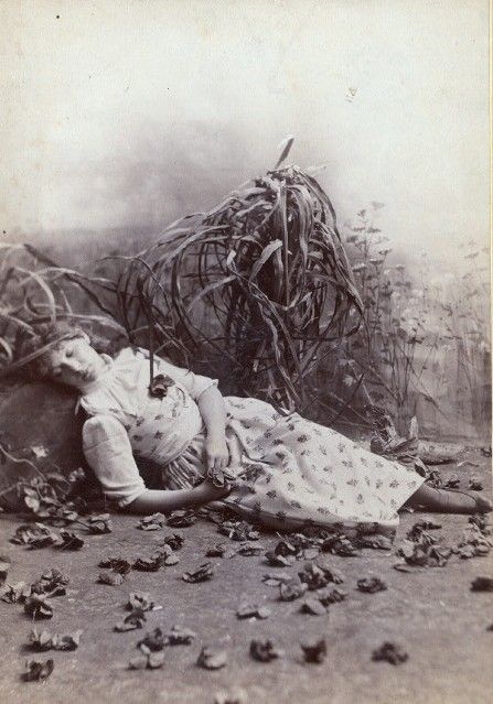 sleeping_in_the_forest