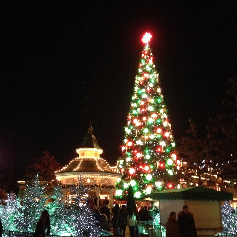 Sapin 4
