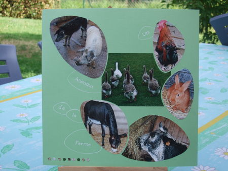 Les_Animaux_de_la_Ferme__Ste_Croix__8