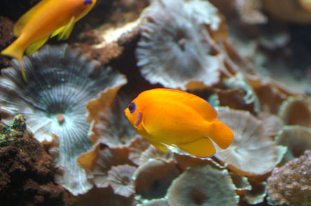 seaquarium_049_1