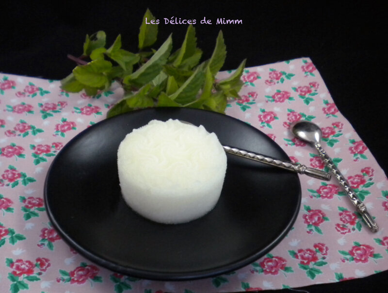 Sorbet mojito