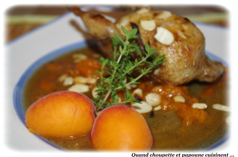 cailles aux abricots-478