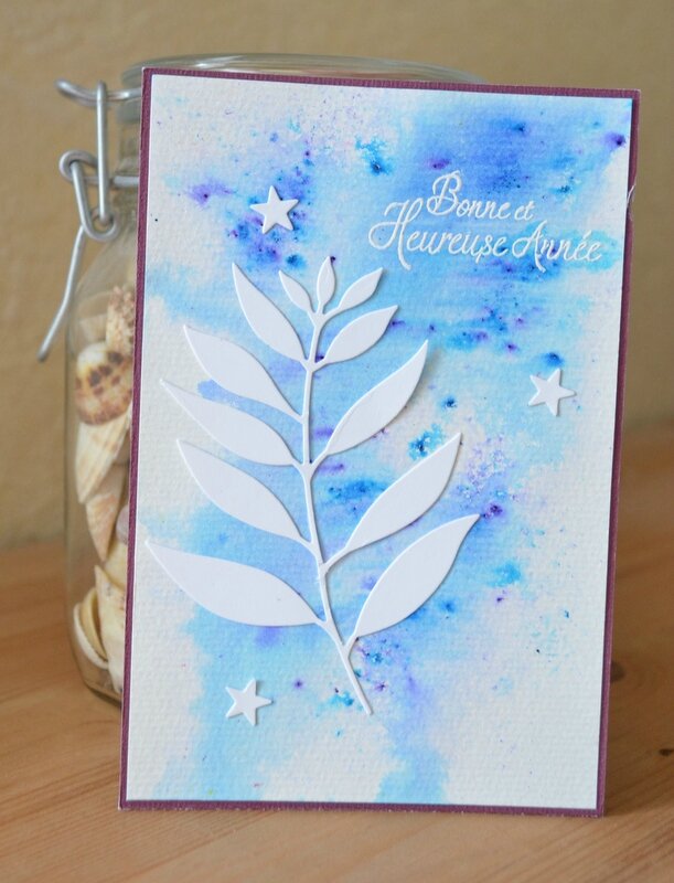 carte Sophfinette voeux