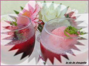 soupe pétillante aux fruits 9