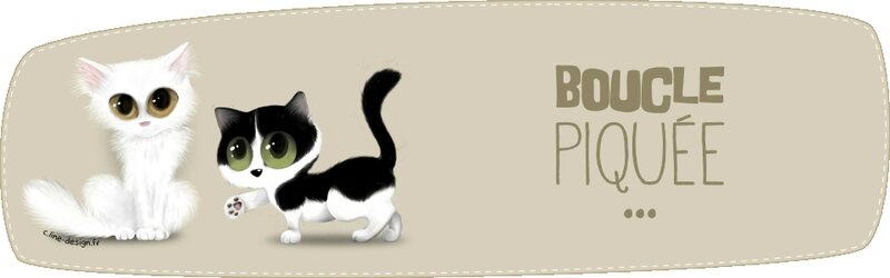 bouclepiquee_banniere_site