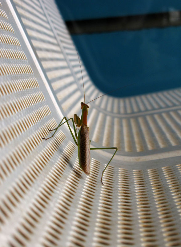 Japon_2009_947