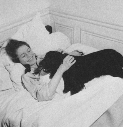 1952-par_boulat-chambre-021-1