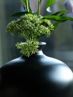 les fleurs chez moi (72)