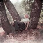 1953-09-02-LA-Laurel_Canyon-Tree_Sitting-042-1