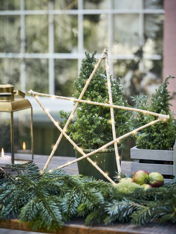 xmas_2022_sostrene_grene_star