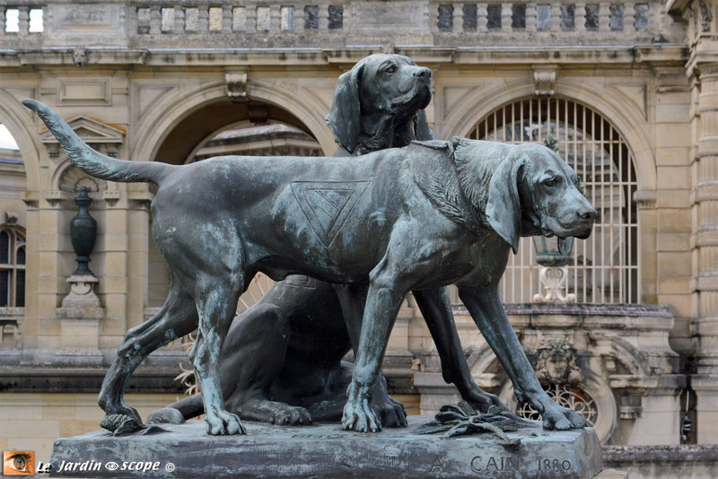 Chiens