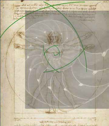sgvitruvian