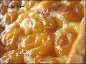 Tarte_aux_mirabelles_GP