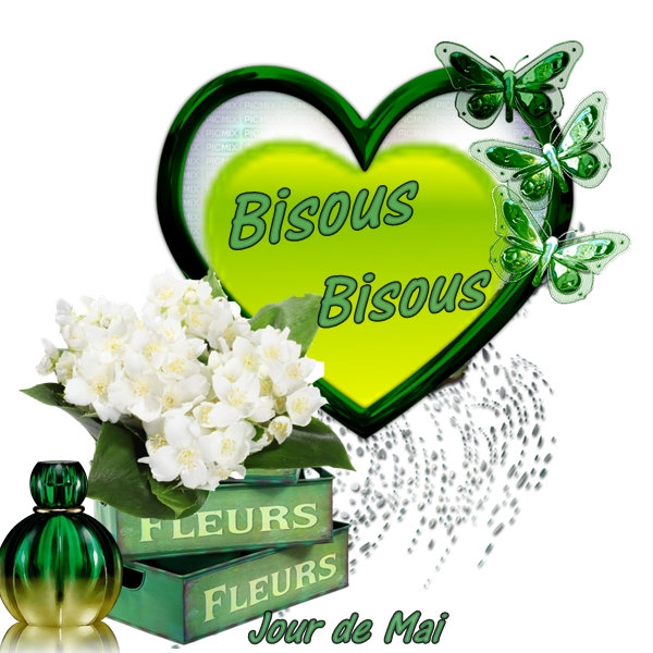 Bisous couleur verte 12022022