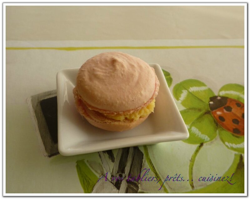 Macaron rose1_1