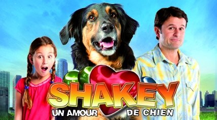 ACCUEIL-SHAKEY