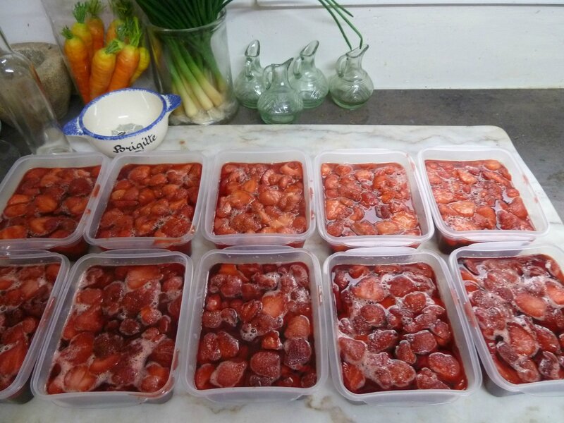 29-4 kgs de fraises (4)