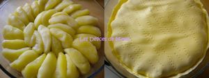 DSCN6686bis