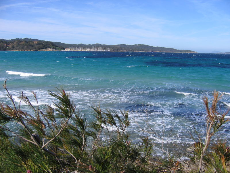 Porquerolles : place de la Courtade, un jour de Mistral