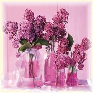 Flora_Press_Les_lilas_53889