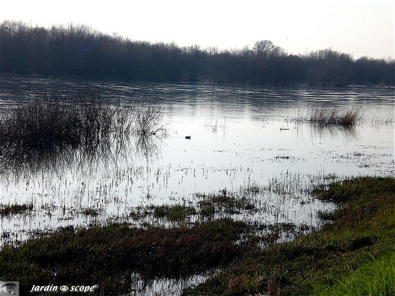 Reflet de Loire en Mars 2007